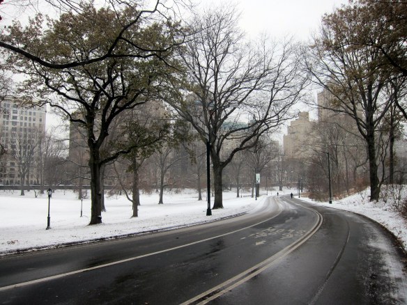 Snowy Streets of Central Park
